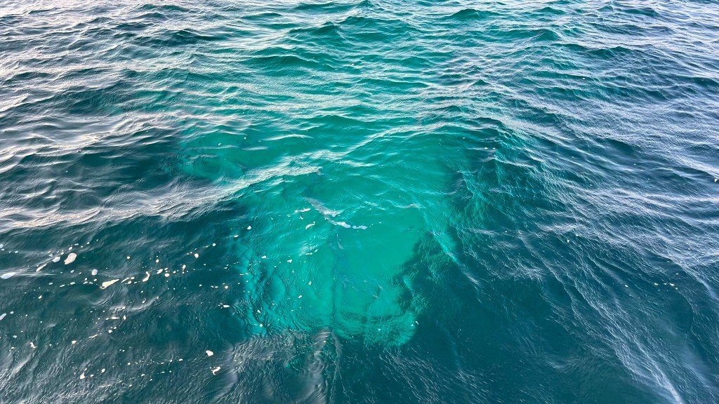 Acque cristalline e color turchese della costa sarda